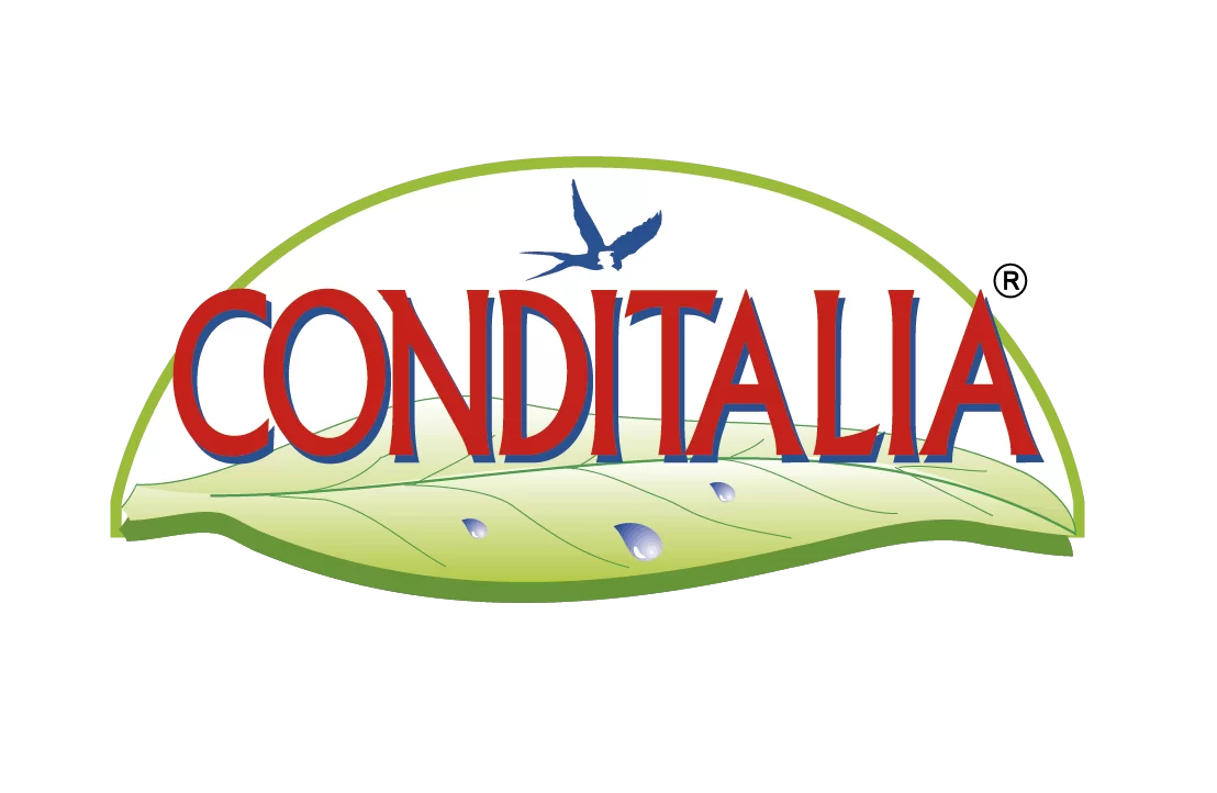 Conditalia